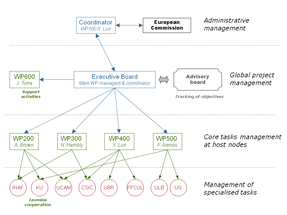 Management-Structure.png